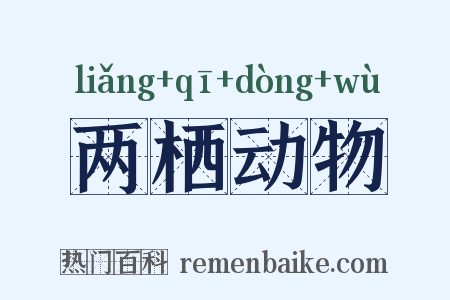 两栖动物是什么意思的图片